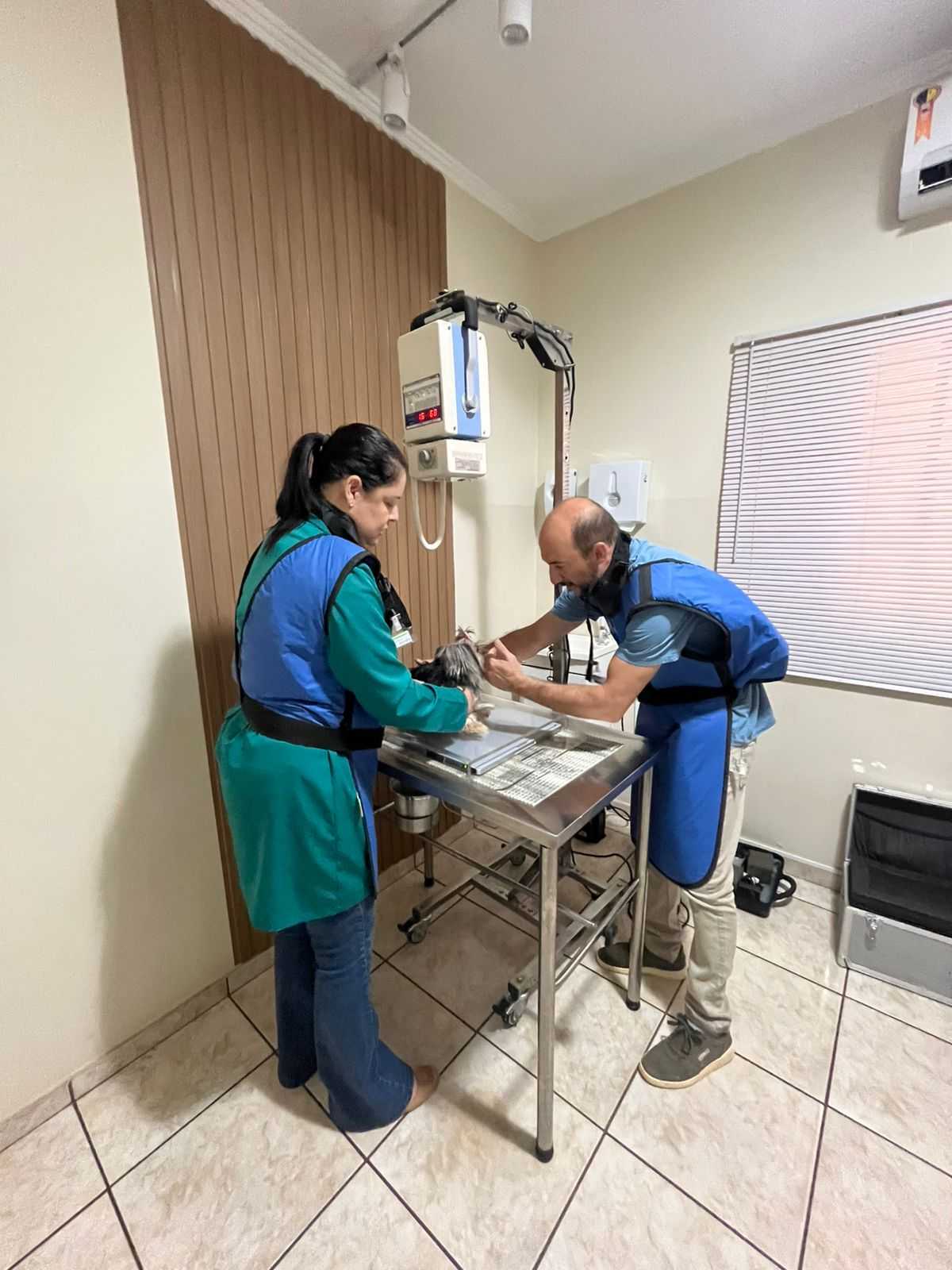 Raio-X Landing Image